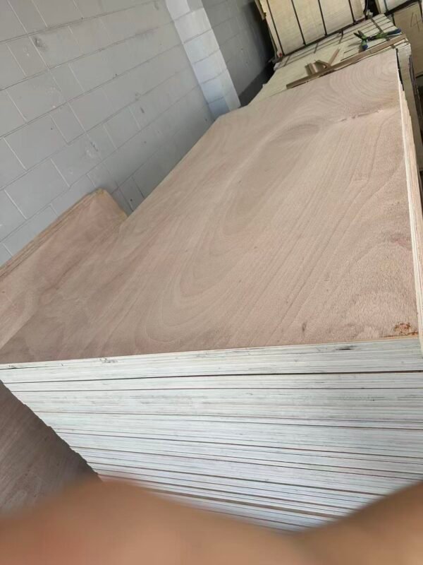 Plywood Sheet 1220 x 2440 x 18mm